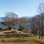 Manutenzione giardini privati e parchi pubblici lago di Como