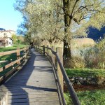 manutenzione parchi pubblici, pulizia boschi, aree verdi Lago di Como, Porlezza, Svizzera